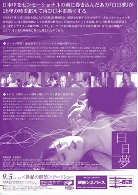 星梦奇缘 电视剧 人气第一